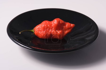 Foto de Carolina Reaper, el chile más picante Capsicum chinense, vaina entera madura, aislada sobre fondo blanco. Pimienta de chile súper caliente o extremadamente caliente - Imagen libre de derechos