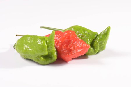 Foto de Hottest chile peppers Capsicum chinense isolated on white background. - Imagen libre de derechos