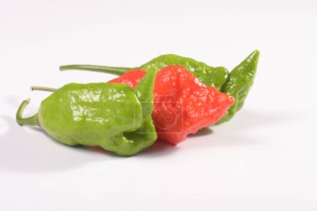 Foto de Hottest chile peppers Capsicum chinense isolated on white background. - Imagen libre de derechos