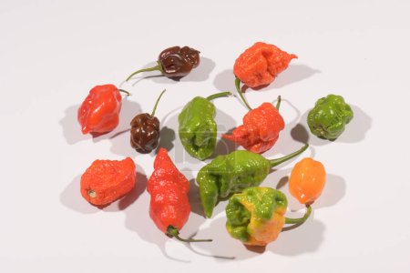 Téléchargez les photos : Carolina Reaper, the hottest chile peppers Capsicum chinense, whole ripe pod, isolated on white background. - en image libre de droit