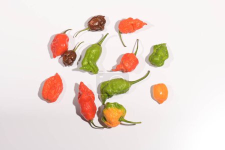 Photo for Carolina Reaper, the hottest chile peppers Capsicum chinense, whole ripe pod, isolated on white background. - Royalty Free Image