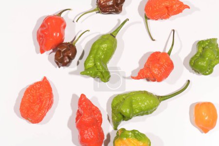 Foto de Carolina Reaper, the hottest chile peppers Capsicum chinense, whole ripe pod, isolated on white background. - Imagen libre de derechos