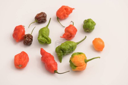 Foto de Carolina Reaper, the hottest chile peppers Capsicum chinense, whole ripe pod, isolated on white background. - Imagen libre de derechos