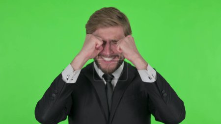Foto de Disappointed Young Adult Businessman Reacting Loss on Green Background - Imagen libre de derechos