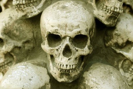 Téléchargez les photos : Photo de crânes sur fond d'autres crânes rappelant la mort sous forme de crâne ou la peur de la mort avec le crâne - en image libre de droit