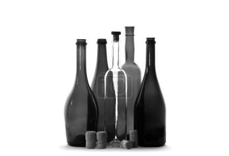 Photo for Black and white photo of different wine bottles isolated on white background - Royalty Free Image