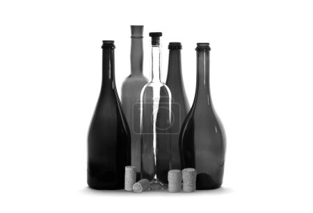 Photo for Black and white photo of different wine bottles isolated on white background - Royalty Free Image