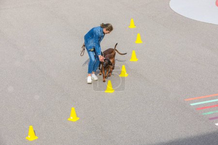Foto de Entrenador perro hembra conduce perros a través de la tarea - Imagen libre de derechos