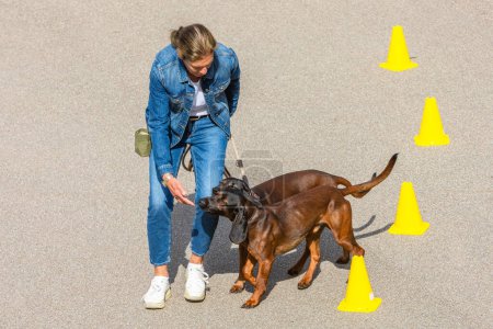 Foto de Entrenador de perros hembra guía a los perros con comandos de mano - Imagen libre de derechos