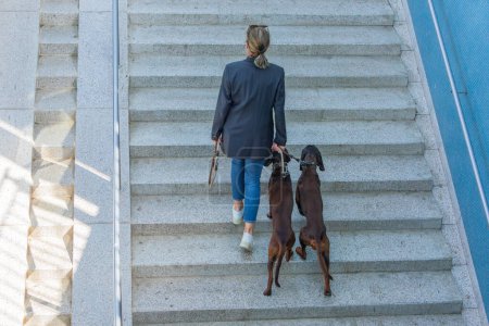 Foto de Mujer con dos perros rastreadores subiendo escalones de la estación de metro - Imagen libre de derechos