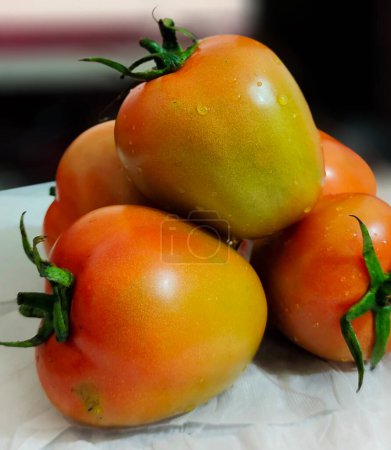 Photo for Ripe tomatoes on the background. Fresh tomato fruit images - Royalty Free Image