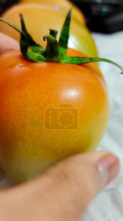 Photo for Person's hand holding a tomato on the background - Royalty Free Image