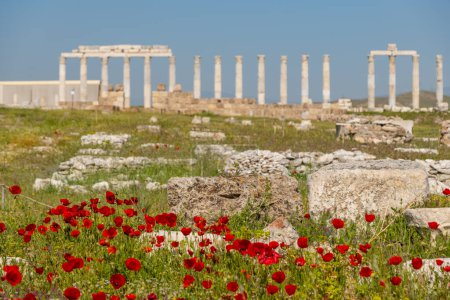 Téléchargez les photos : L'ancienne ville d'Aphrodisias. Sites archéologiques et historiques de la Turquie moderne - en image libre de droit