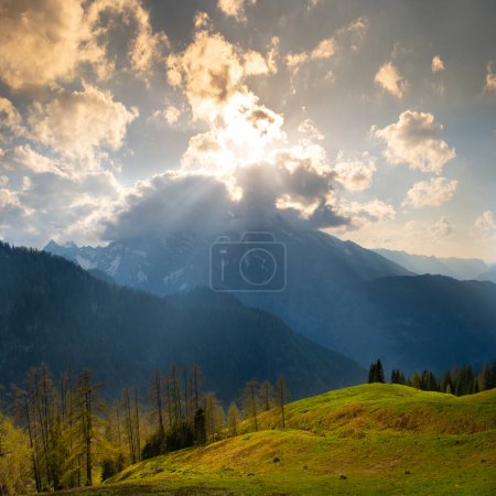 Idyllic landscape in the Alps with fresh green meadows, pine forest and mountain tops in the background