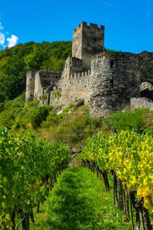 Castle Hinterhaus in Spitz Wachau Austria with Danube river and vineyards