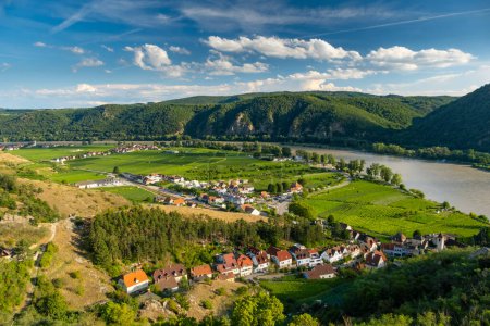 Panorama der Wachau mit der Donau bei Dürnstein in Niederösterreich. Traditionelle Wein- und Tourismusregion, Donaukreuzfahrten.