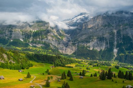 Vue sur la vallée alpine de Grindelwald. Jungfrau, Suisse. Sous les Alpes bernoises. Village de montagne.