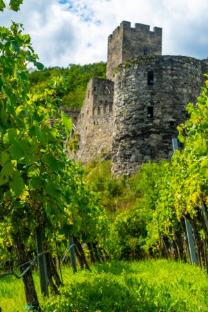 Foto de Castillo Hinterhaus en Spitz Wachau Austria con el río Danubio y viñedos - Imagen libre de derechos