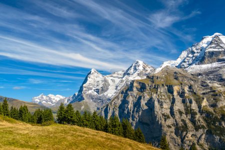 Foto de Paisaje idílico de verano en los Alpes con prados verdes frescos y cumbres nevadas en el fondo. Suiza - Imagen libre de derechos