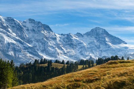 Foto de Paisaje idílico de verano en los Alpes con prados verdes frescos y cumbres nevadas en el fondo. Suiza - Imagen libre de derechos