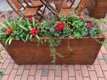 wooden floor planter with red flowers in a street cafe.
