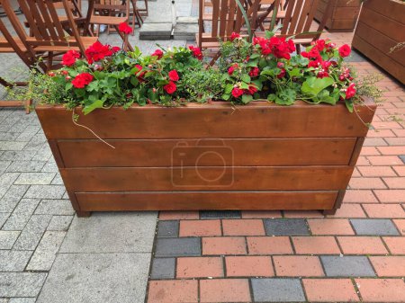 wooden planter box with red flowers and green plants on patio.