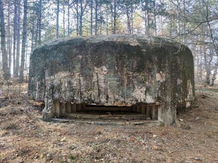 old concrete abandoned firing point with an embrasure in the forest.