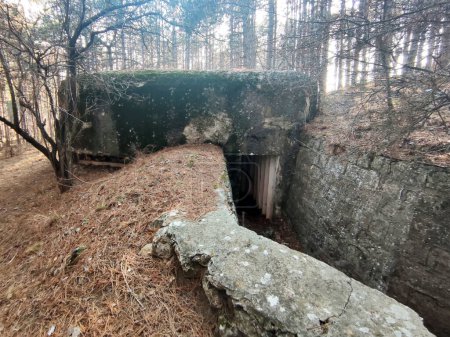 old concrete abandoned bunker in the forest.