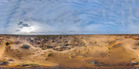 Téléchargez les photos : Panorama 360 of the desert in spring from a bird's eye view. Sand dunes in the Kyzylkum desert. Soft lighting in cloudy weather before rain - en image libre de droit