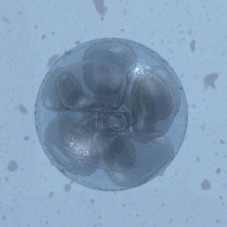 3d render Embryo defocused Close-up