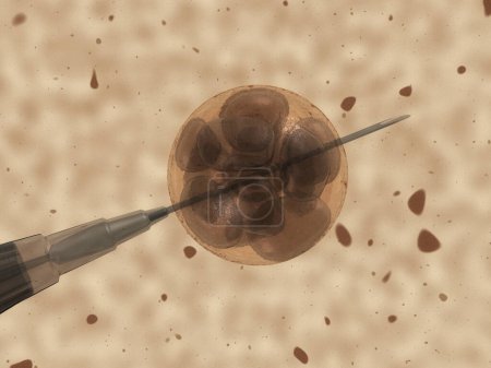 Embryo 3D Render defokussiert (Schärfentiefe))