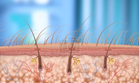 Photo for 3d Render Hair Follicle close-up (Depth of Field) - Royalty Free Image