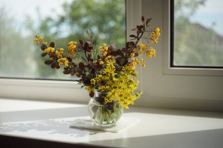 Photo for The branches of barberry bush with blooming yellow flowers in a glass vase on the windowsill. - Royalty Free Image