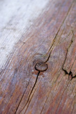Foto de Antiguo fondo de madera envejecido rústico en marrón húmedo con un nudo. - Imagen libre de derechos