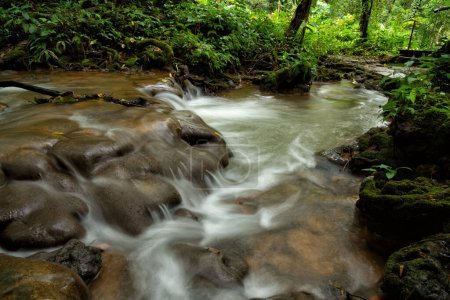 Foto de Hermosa cascada en el parque forestal Sa Nang Manora, provincia de Phangnga, Tailandia. - Imagen libre de derechos