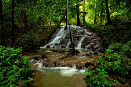 Foto de Hermosa cascada en el parque forestal Sa Nang Manora, provincia de Phangnga, Tailandia. - Imagen libre de derechos