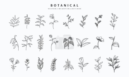Illustration for Botanical arts. Hand drawn continuous line drawing of abstract flower, floral, rose, tropical leaves, spring and autumn leaf, bouquet of olives. Vector illustration. - Royalty Free Image