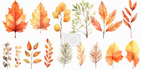 Illustration for Vector watercolor Set of fall leaves, maple leaf, acorns, berries, spruce branch. Forest design elements. Hello Autumn illustrations. Perfect for seasonal advertisement, invitations, cards - Royalty Free Image