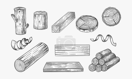 Wood logs, trunk and planks, vector sketch illustration. Hand drawn wooden materials. Firewood set.