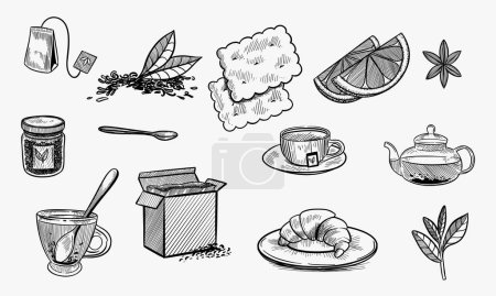 Tee skizzieren. Handgezogene Teeblätter, Tassen und Wasserkocher. Getrocknete Kräuter, Marmelade und Zitronenobjekte für die Teezeit am Nachmittag Banner Vintage Design Vektor Set