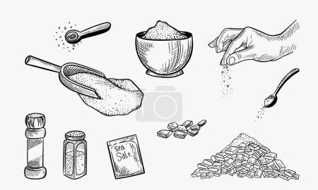 Sketch sea salt. Hand drawn spice, seasoning packaging. Glass bottles with salt powder, salting crystals vintage engraved vector kitchenware set
