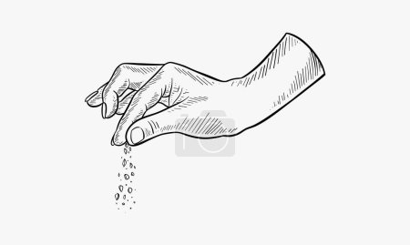 Hand salt food. Himalayan or sea salt in engraved style, cooking dinner with spices or salting crystals, hands gesture, kitchen condiment vector hand drawn isolated on white background illustration