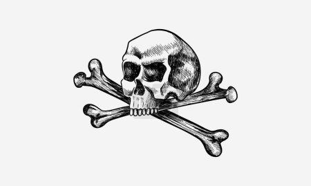 Skull and crossbones. Sketch vector hand drawn illustrations. The symbol of life and death.