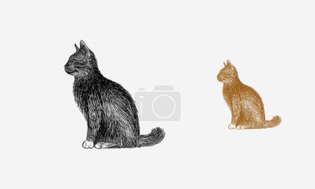 Illustration for Hand drawn Sitting cat lit from the side view, Hand drawn vector illustration of domestic animal - Royalty Free Image