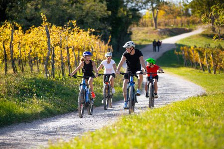 Family of four riding e-bikes through the vineyards  in autumn