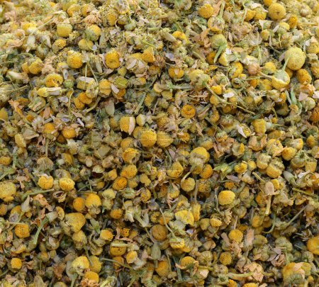 Foto de Muchas flores secas de manzanilla para la preparación de tés de hierbas calientes relajantes - Imagen libre de derechos
