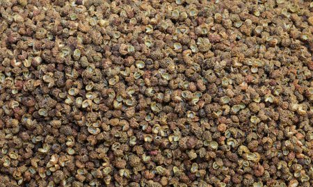 Téléchargez les photos : De nombreux grains de poivre noir à vendre dans la stalle d'épices ethniques - en image libre de droit