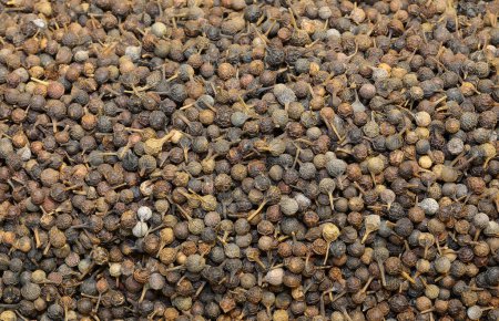Téléchargez les photos : De nombreux grains de poivre noir à vendre dans la stalle d'épices ethniques - en image libre de droit