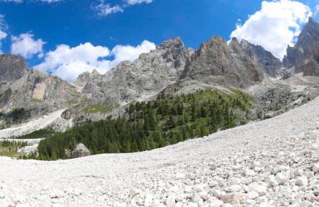 Téléchargez les photos : Éboulis de pierres blanches dans la vallée dans les montagnes en été - en image libre de droit
