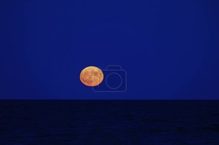 Téléchargez les photos : Pleine lune rouge sur la mer calme du soir - en image libre de droit